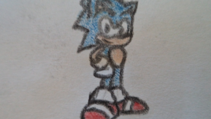 A Sonic Photo Animation