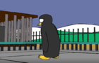 Emperor penguin's birthday