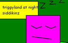 trippyland at night