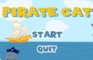 Pirate Cat