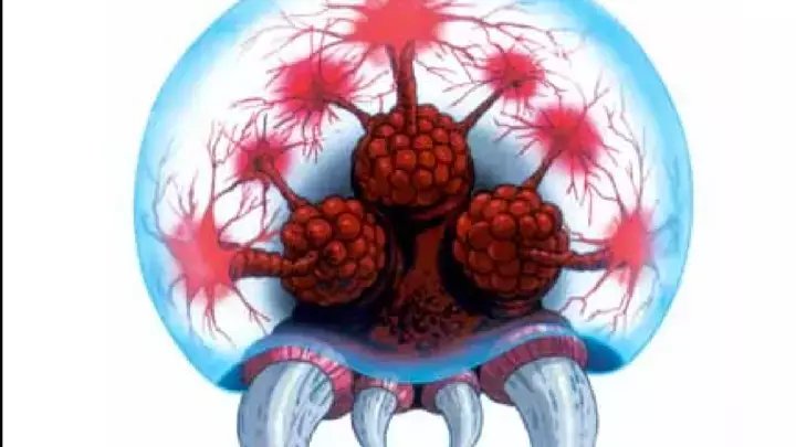 Samus and the Metroid