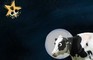 MOO MOO 2 : intergalactic boogaloo