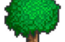 Animation VS Terraria