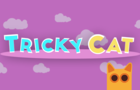 Tricky Cat