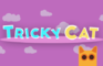 Tricky Cat