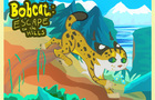 Bobcat : Escape to the Hills