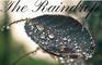 The Raindrop