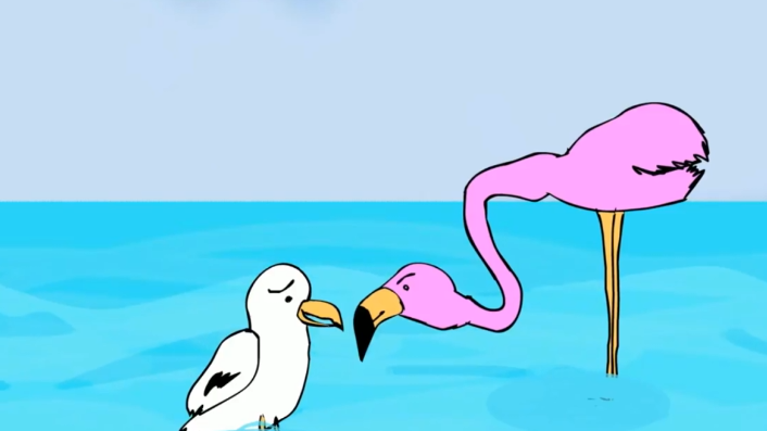 Seagull Stories - Pink