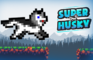 Super Husky:Adventure platform game