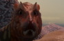 Sun barthing dragon