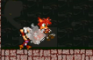 A Sibling Squabble