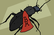 Beetle Man!