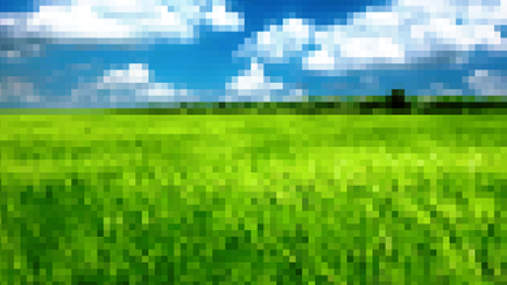 Through fields of grass