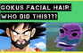 Gokus Beard I Fylum