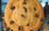 Cookie City 2 | v0.1 | Build 1