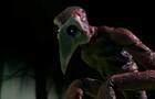 Poyo - The undead bird