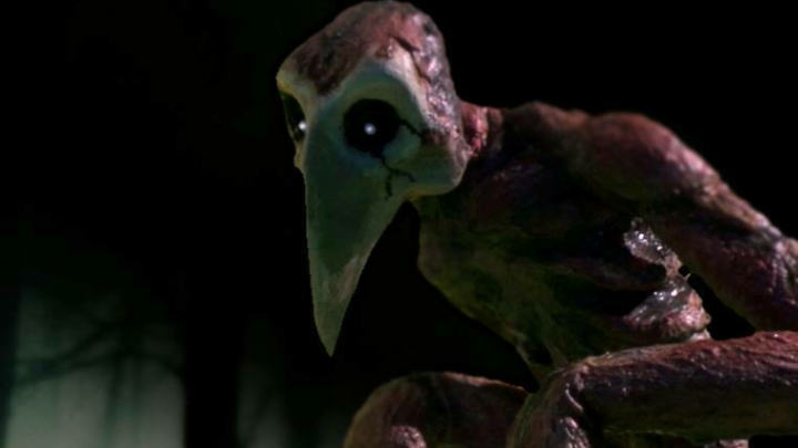 Poyo - The undead bird