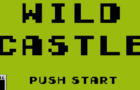 Wild Castle Beta