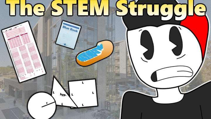 STEM Struggle
