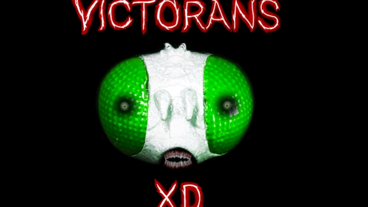 Victorans XD intro