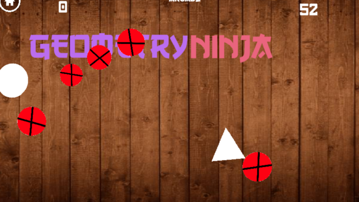 Geometry Ninja