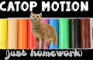Catop Motion