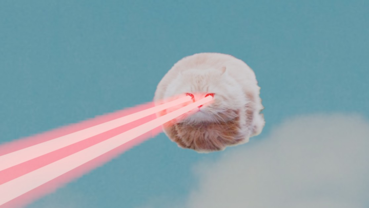 Flying Laser Cat