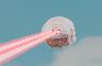 Flying Laser Cat