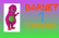 Barney Error I