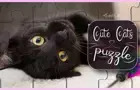 Cute Cats Puzzle