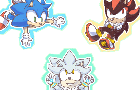 Sonic and shadow Vs Silver and blaze