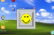 Windows XP