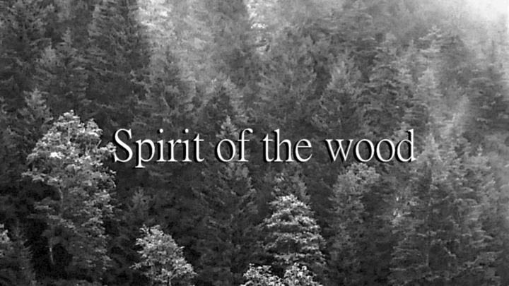 Spirit of the wood