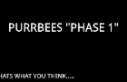 PurrBees &quot;PHASE 1&quot;