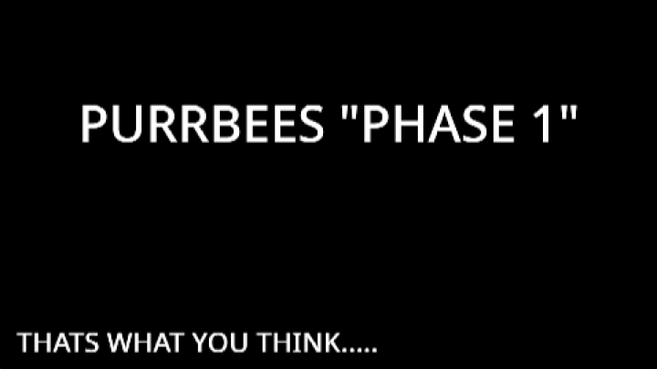 PurrBees "PHASE 1"