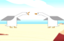 Seagulls