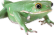 frog casino, pretend your a frog, in a casino