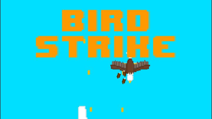 BirdStrike