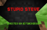 Stupid Steve - Minecraft stop - motion animation