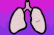 My Garbage Lungs