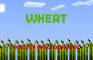 Wheat - Minecraft stop - motion animation