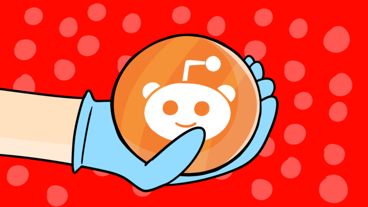 What makes reddit so different ?