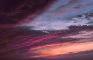 Elon Dusk