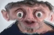 Micheal Rosen with shit edits