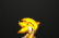 Super Sonic trapped in a blank room