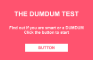 The dumdum test