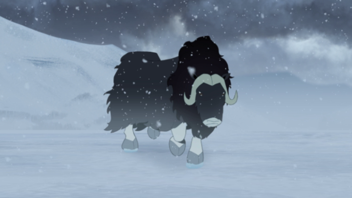 Just a Musk Ox