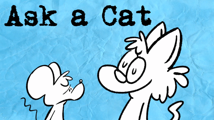 Ask a Cat
