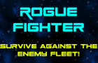 Rogue Fighter
