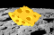 Moon Cheese